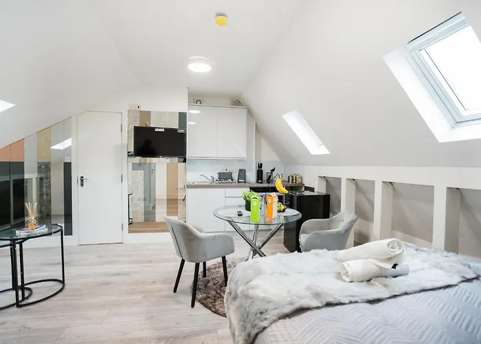Spacious And Modern Studio In London G